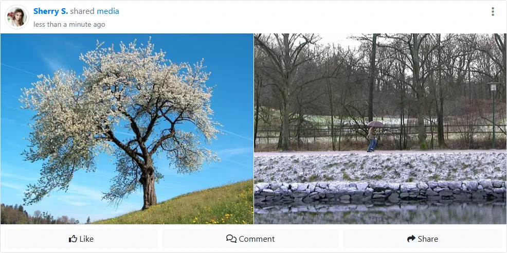 activity media display